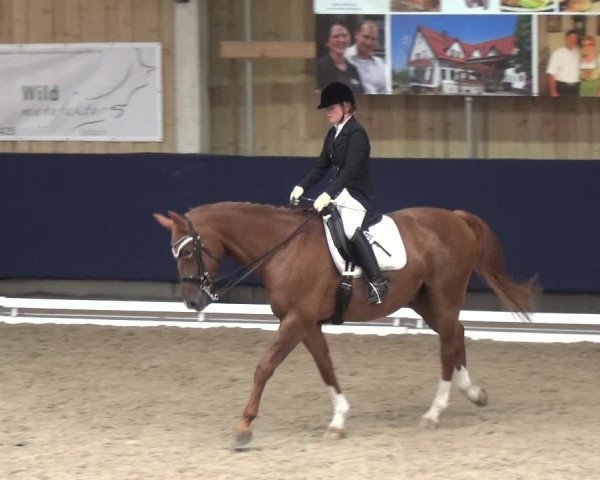 Reitturnier Weilheim/Teck 2018