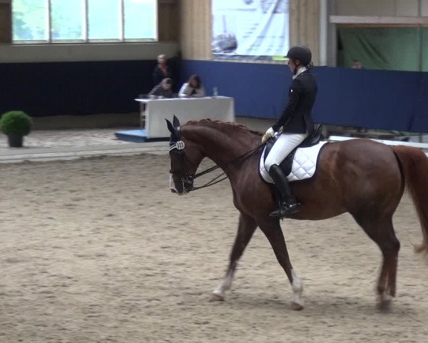 Reitturnier Weilheim/Teck 2018