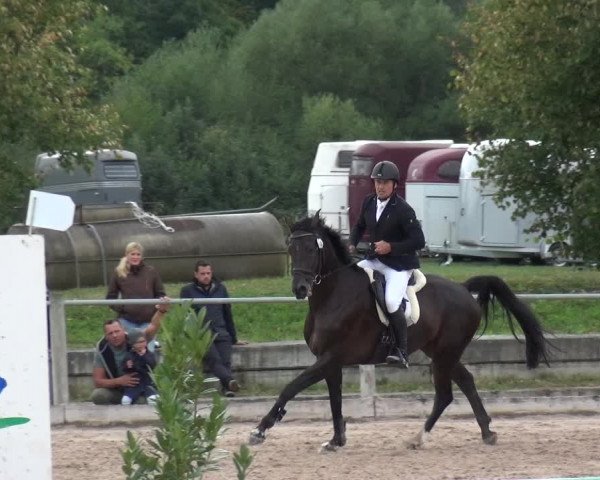 Reitturnier Weilheim/Teck 2018