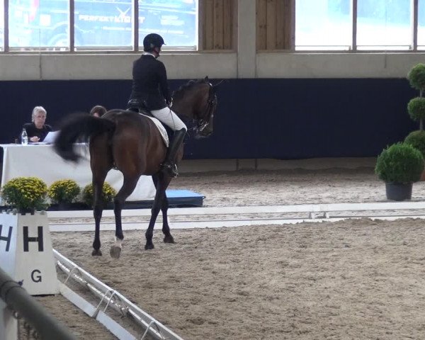 Reitturnier Weilheim/Teck 2018
