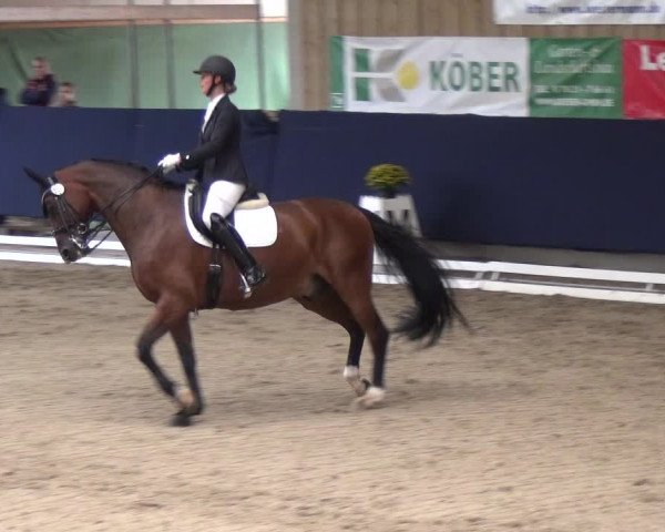 Reitturnier Weilheim/Teck 2018