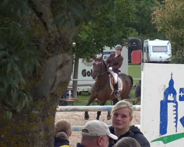 Reitturnier Weilheim/Teck 2018
