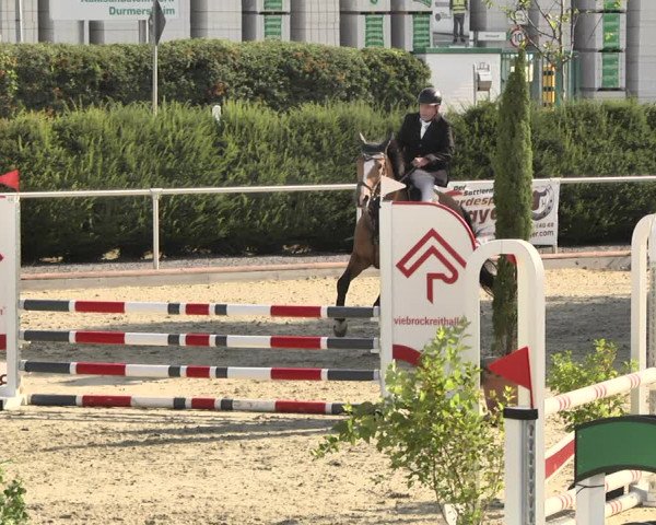 Reitturnier Durmersheim-Hardt 2018