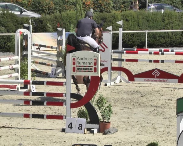 Reitturnier Durmersheim-Hardt 2018