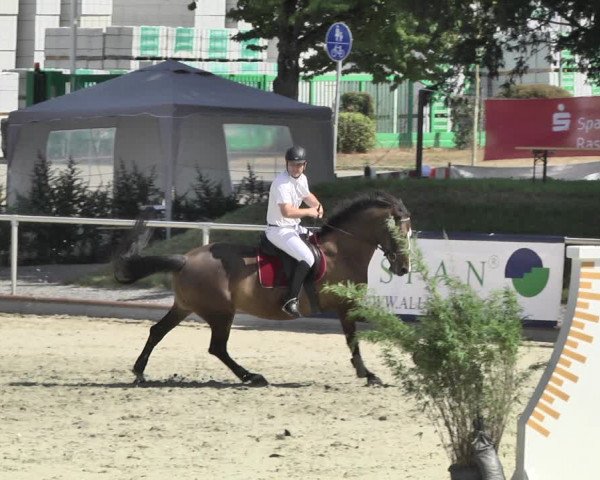 Reitturnier Durmersheim-Hardt 2018