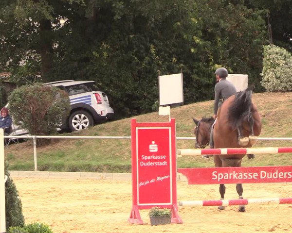 Reitturnier Duderstadt 2018