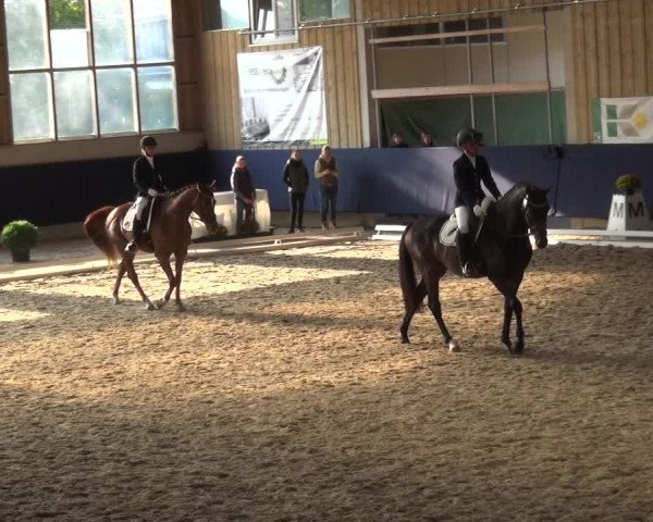 Reitturnier Weilheim/Teck 2018
