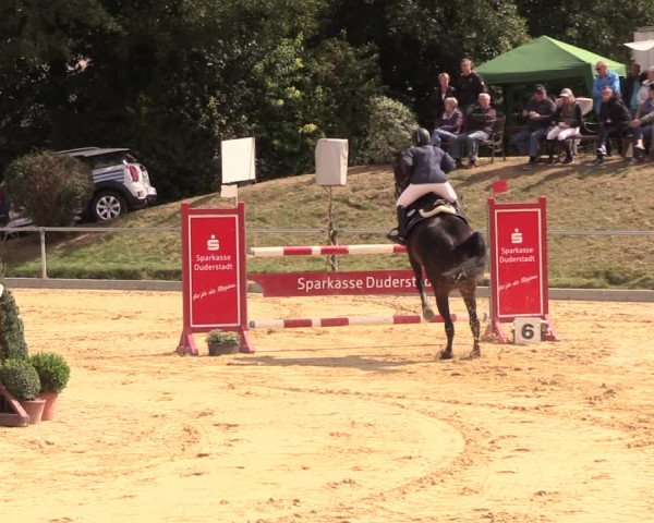 Reitturnier Duderstadt 2018
