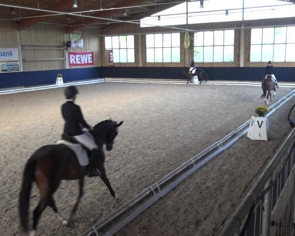 Reitturnier Weilheim/Teck 2018