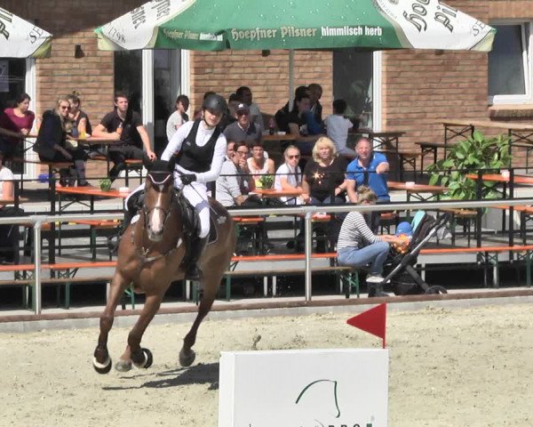 Reitturnier Durmersheim-Hardt 2018