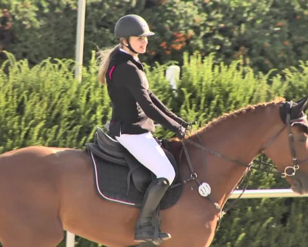 Reitturnier Durmersheim-Hardt 2018