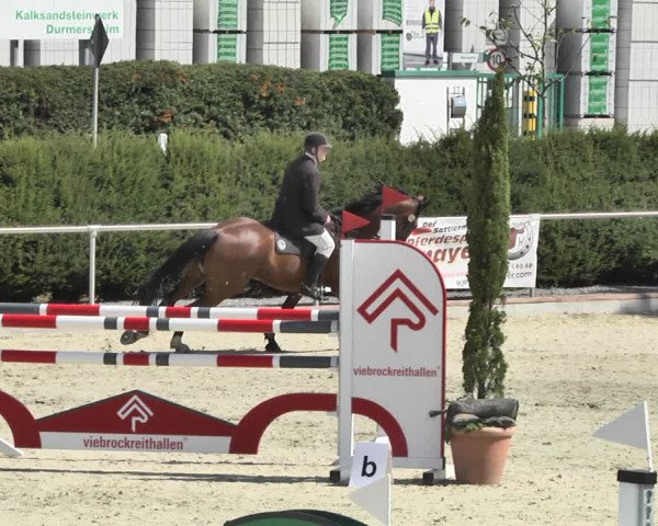Reitturnier Durmersheim-Hardt 2018