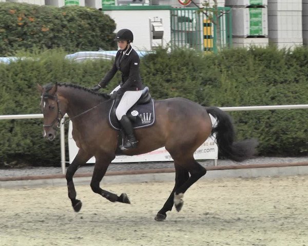 Reitturnier Durmersheim-Hardt 2018