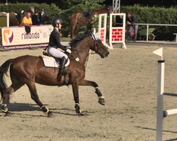 Reitturnier Durmersheim-Hardt 2018
