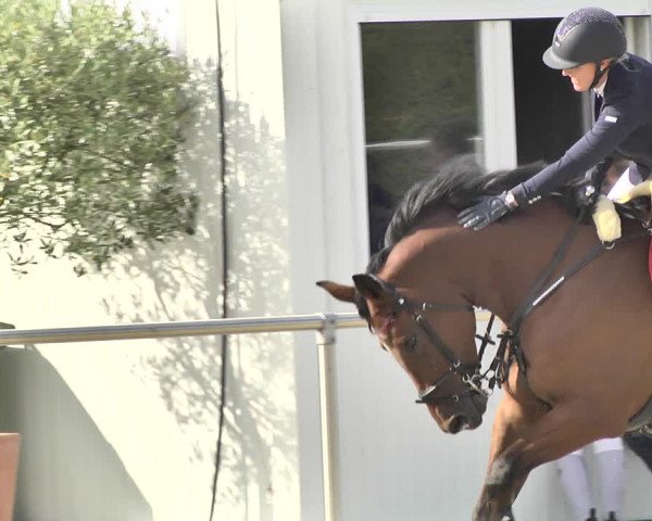 Reitturnier Durmersheim-Hardt 2018