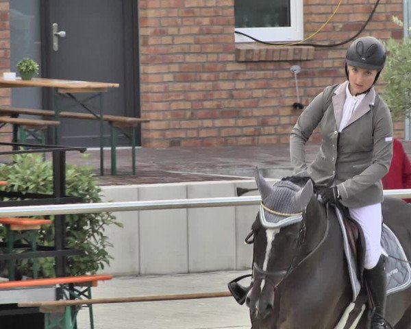 Reitturnier Durmersheim-Hardt 2018
