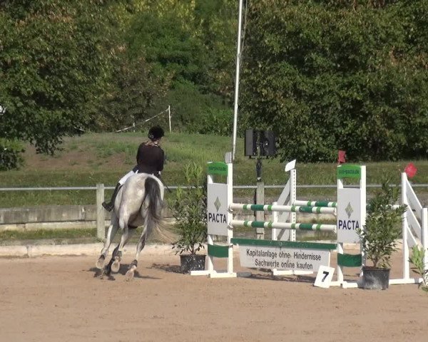 Reitturnier Weilheim/Teck 2018
