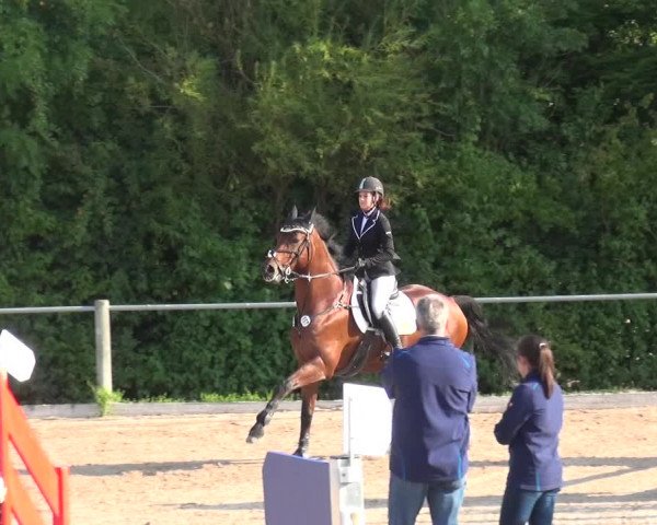Reitturnier Weilheim/Teck 2018