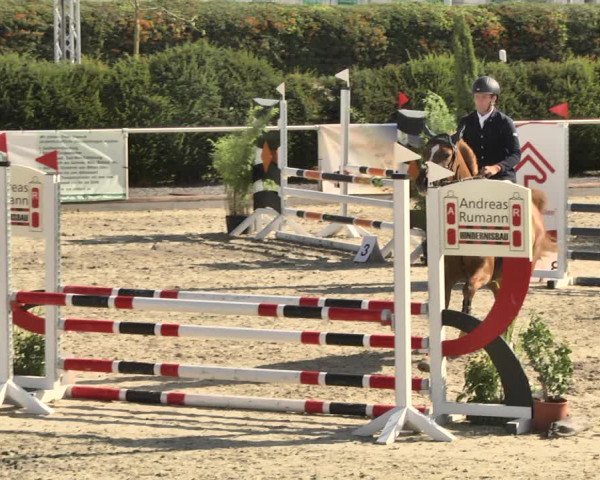 Reitturnier Durmersheim-Hardt 2018