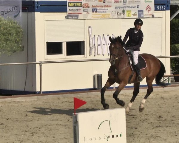 Reitturnier Durmersheim-Hardt 2018