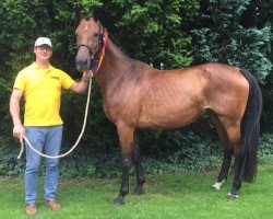 Broodmare Dalia (Rhinelander, 2002, from Dynast)