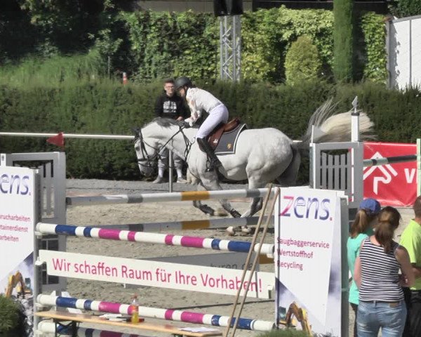 Reitturnier Durmersheim-Hardt 2018