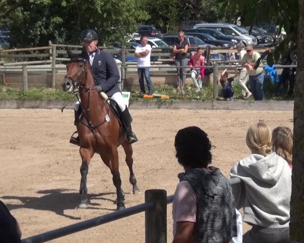Reitturnier Weilheim/Teck 2018