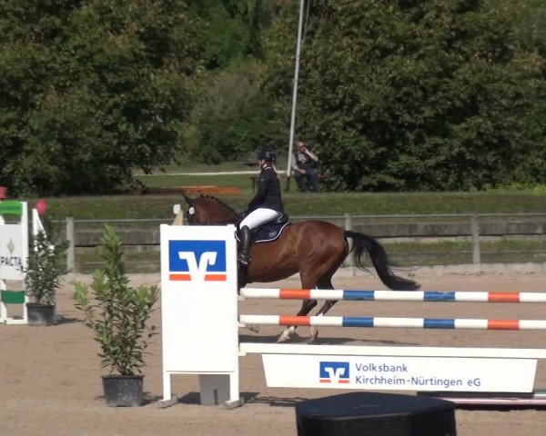 Reitturnier Weilheim/Teck 2018