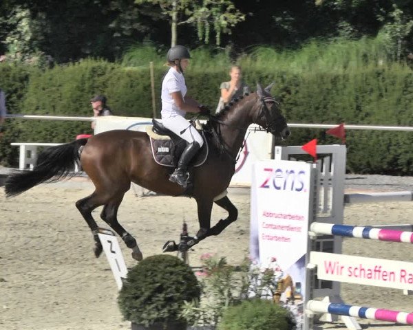 Reitturnier Durmersheim-Hardt 2018