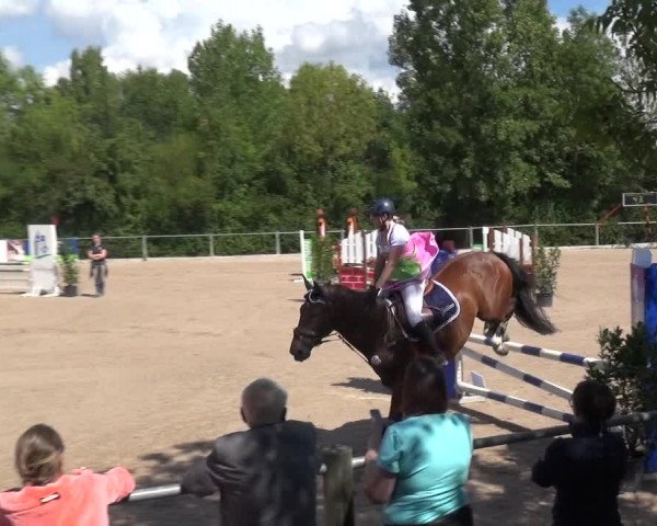 Reitturnier Weilheim/Teck 2018