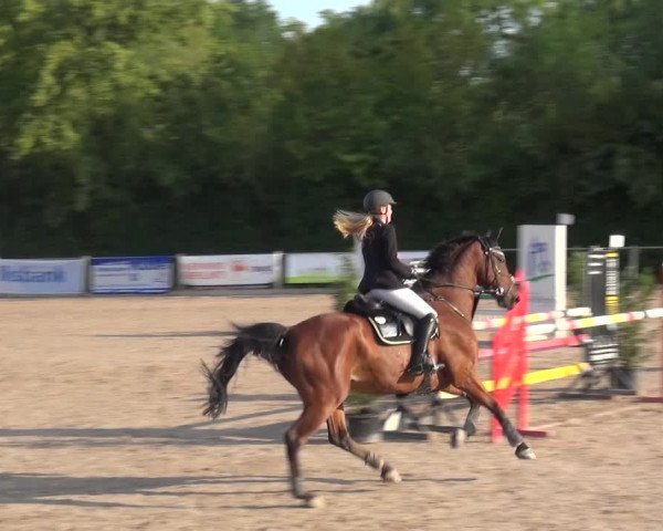 Reitturnier Weilheim/Teck 2018