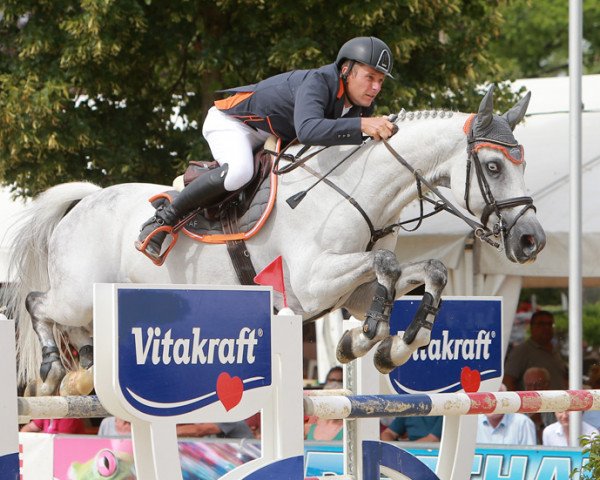 Springpferd Habicht Cr (Deutsches Reitpferd, 2005, von Heraldus)