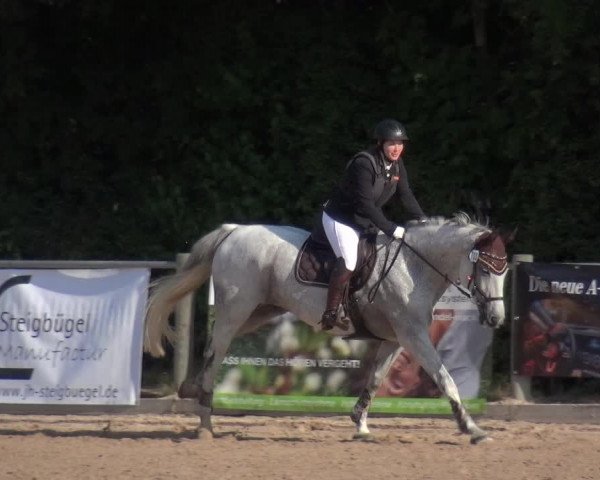 Reitturnier Weilheim/Teck 2018