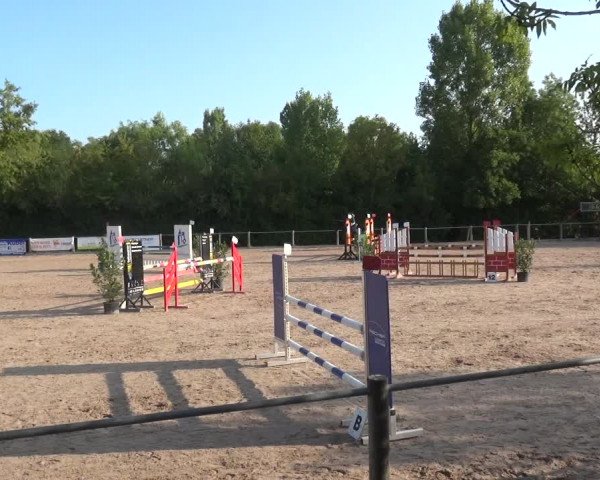 Reitturnier Weilheim/Teck 2018