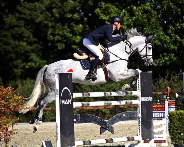 broodmare Chelsea 113 (German Sport Horse, 2008, from Calido I)