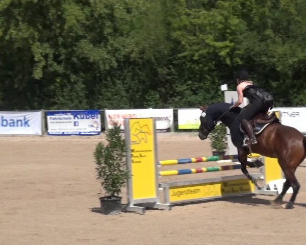 Reitturnier Weilheim/Teck 2018