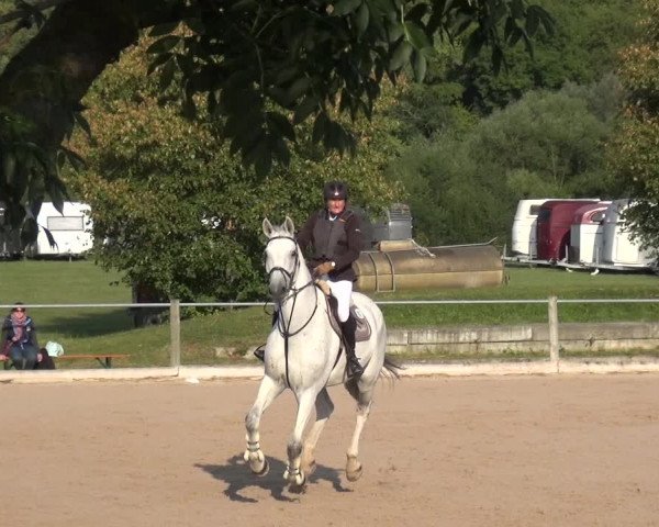 Reitturnier Weilheim/Teck 2018