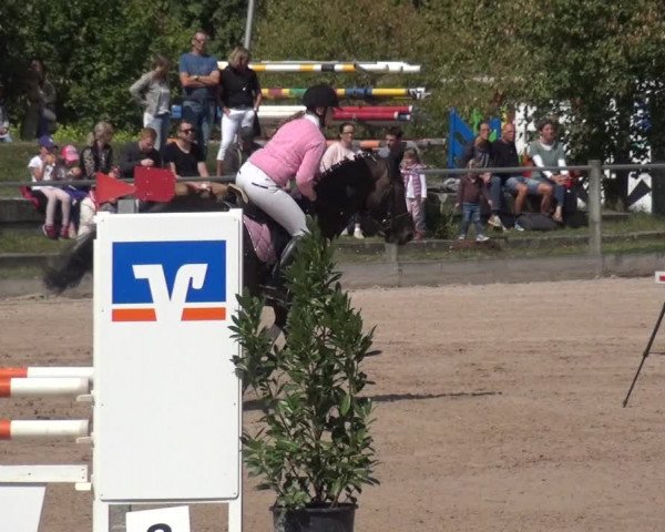 Reitturnier Weilheim/Teck 2018