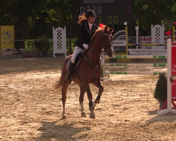 Reitturnier Duderstadt 2018