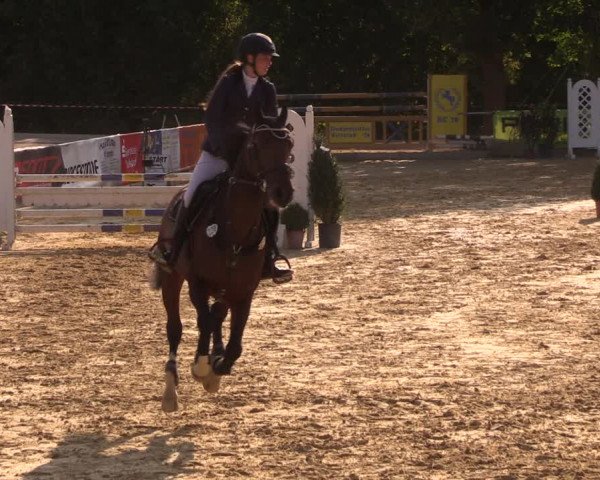 Reitturnier Duderstadt 2018