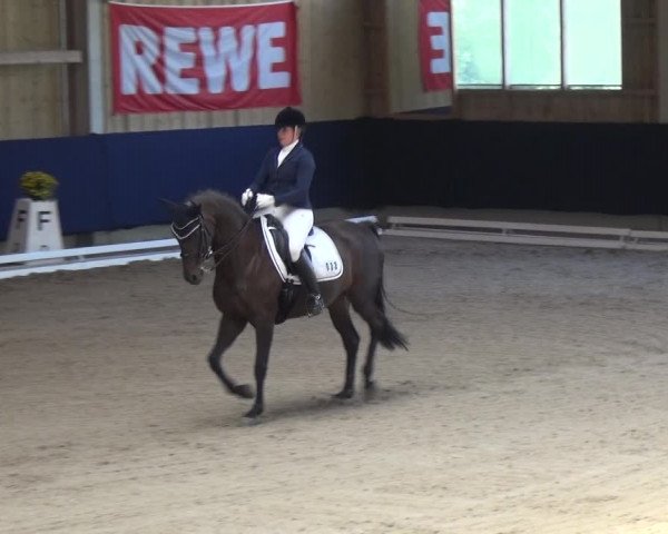 Reitturnier Weilheim/Teck 2018