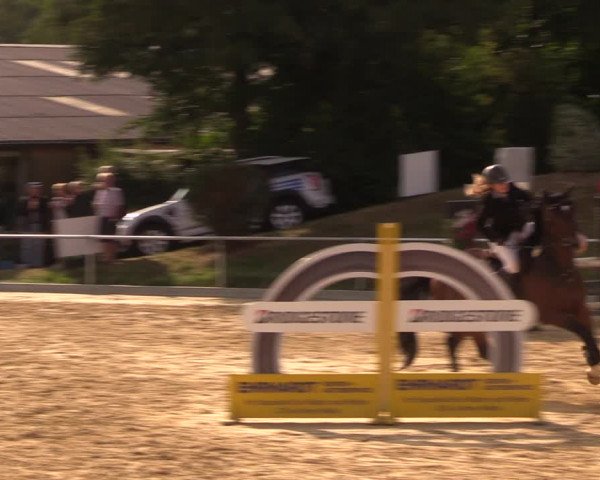 Reitturnier Duderstadt 2018