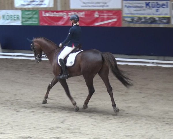Reitturnier Weilheim/Teck 2018