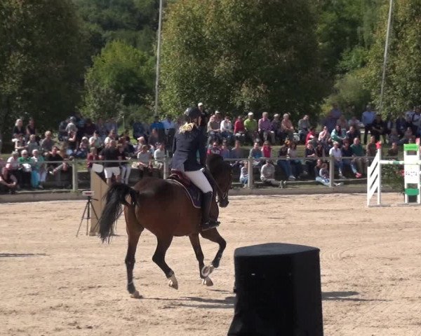 Reitturnier Weilheim/Teck 2018