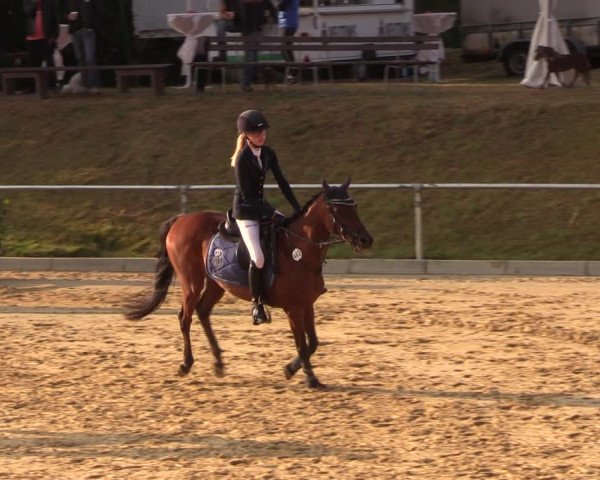 Reitturnier Duderstadt 2018