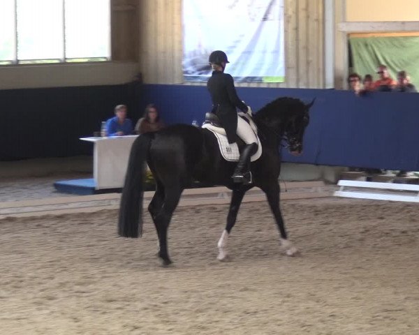 Reitturnier Weilheim/Teck 2018