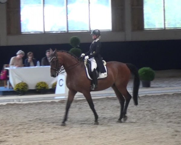 Reitturnier Weilheim/Teck 2018