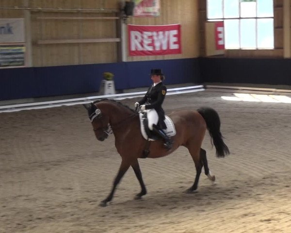 Reitturnier Weilheim/Teck 2018