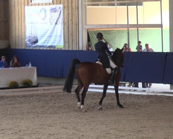 Reitturnier Weilheim/Teck 2018