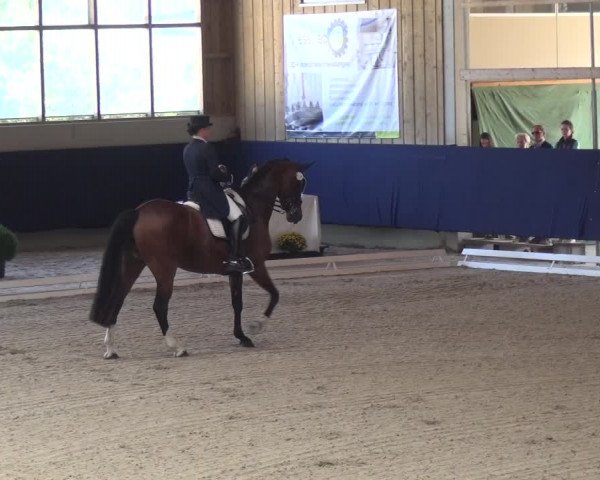 Reitturnier Weilheim/Teck 2018